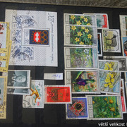 IMG-3110