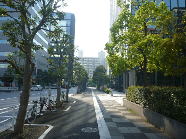P1150116.jpg