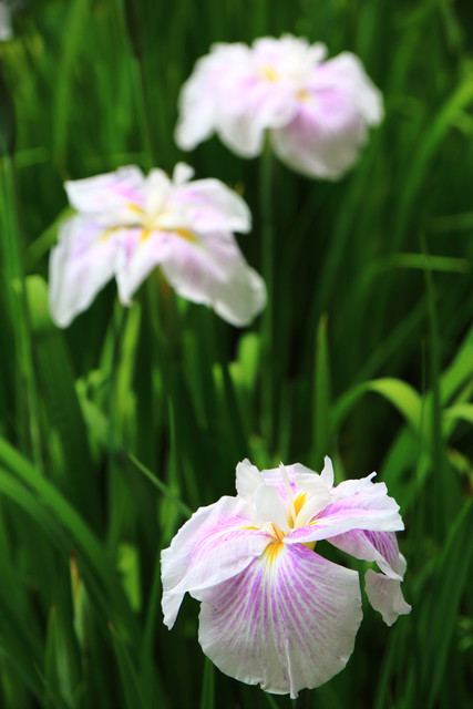 20150607164651e1f