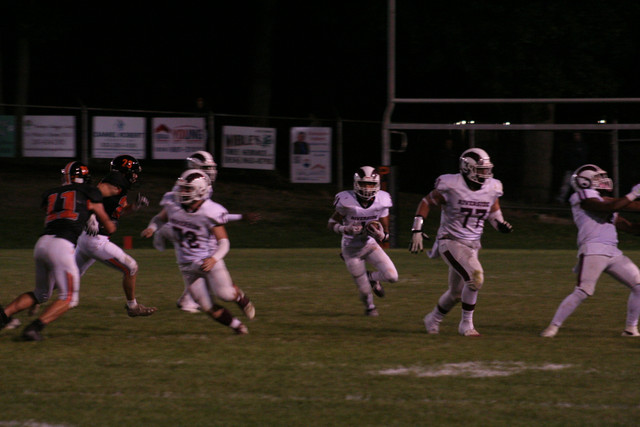 IMG-7595.jpg