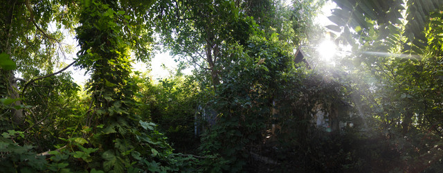 1002a0268m.jpg