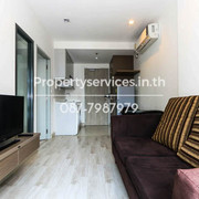 IMG 7950