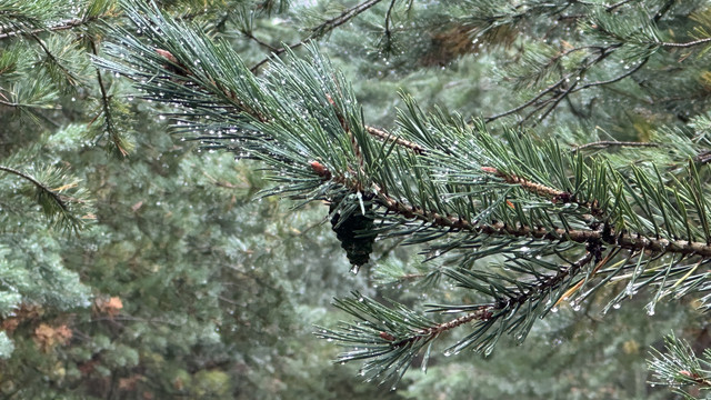 IMG 5100.jpg