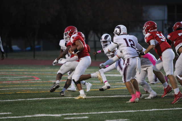 IMG-8859.jpg