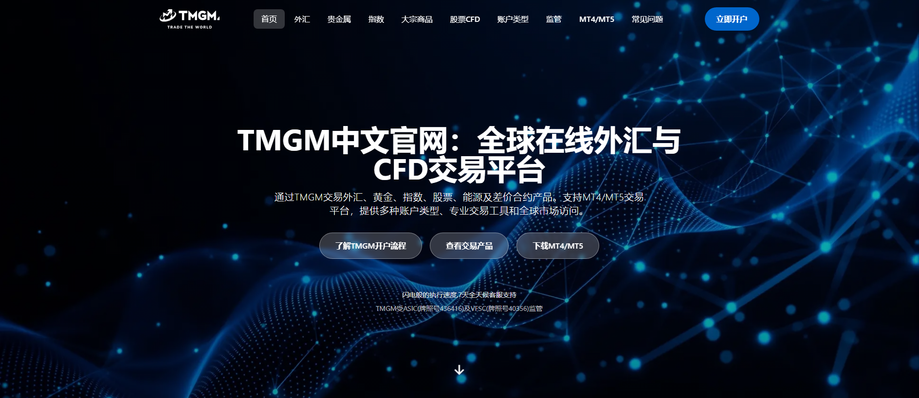Stored capture of tmgm-cn-apac.com