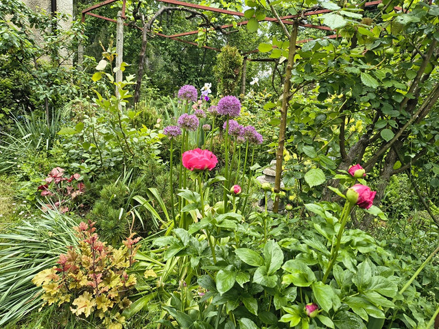 garden.jpg