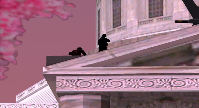 gallery6.jpg