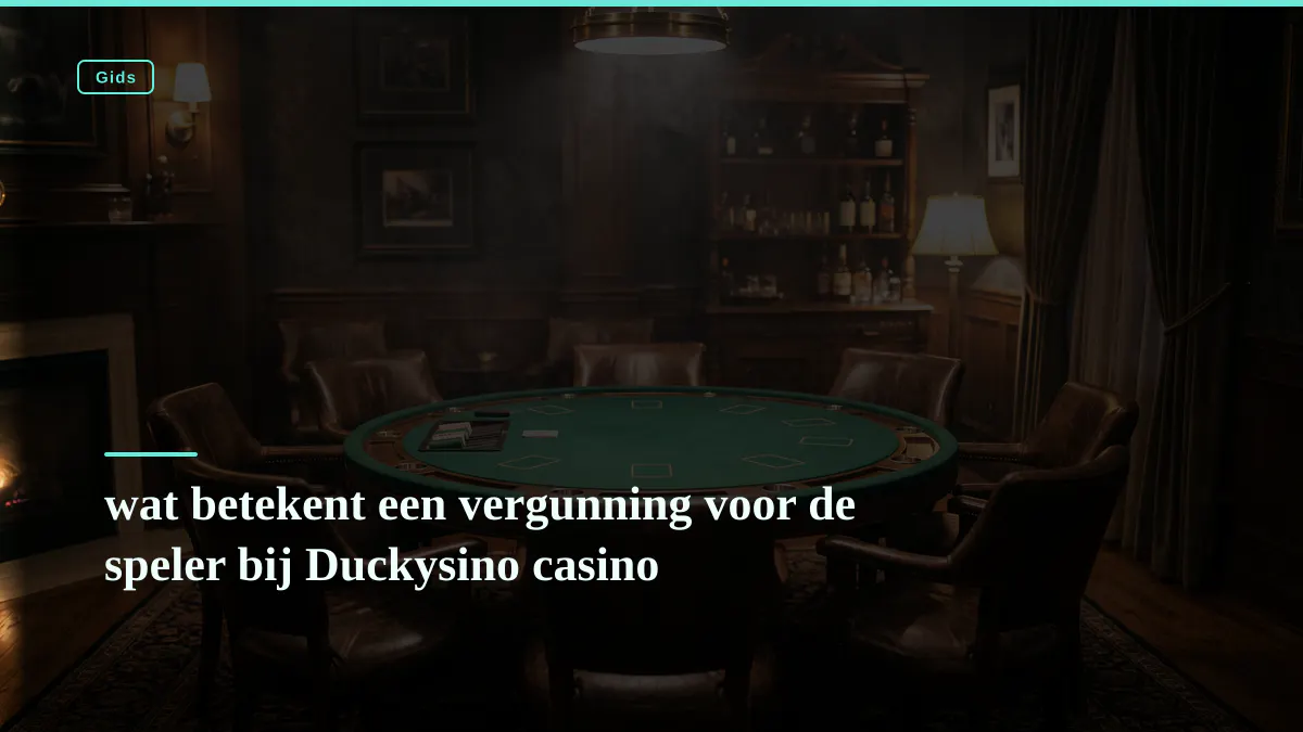 wat betekent een vergunning voor de speler bij Duckysino casino