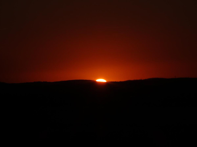 DSC05424