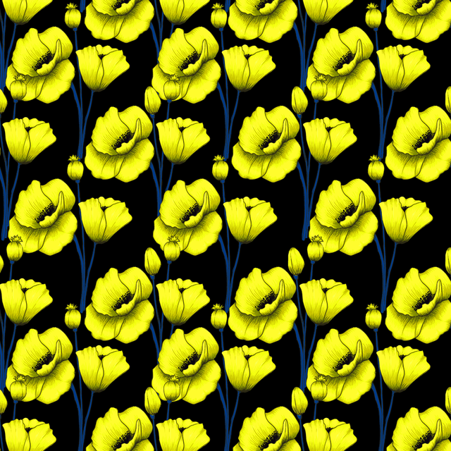15526.png