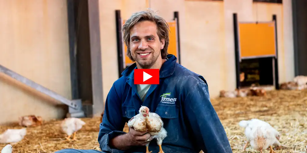 Kippenvlees met 5 sterren - Koopeenkip.nl - Goede kip, direct van de boer - Vleeskopenbijdeboer.nl