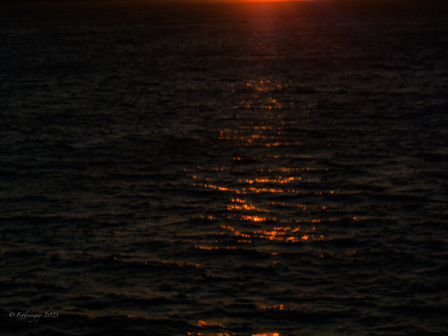 IMG 1487.jpg
