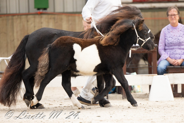 29A3454.jpg
