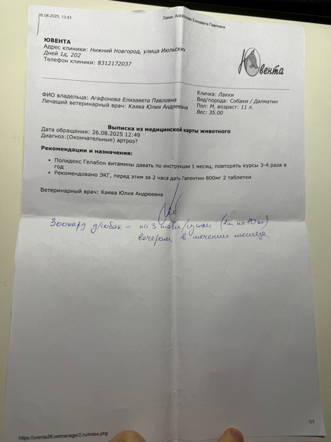 кардиолог