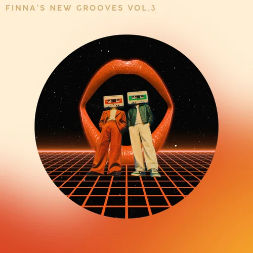 VA – Finna’s New Grooves Vol.3 [FNN025D]