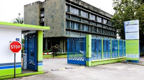 Illustration - Cameroun : Eneo est morte, la SOCADEL est née. L'Afrique peut-elle vraiment reprendre le contrôle de ses services publics ?