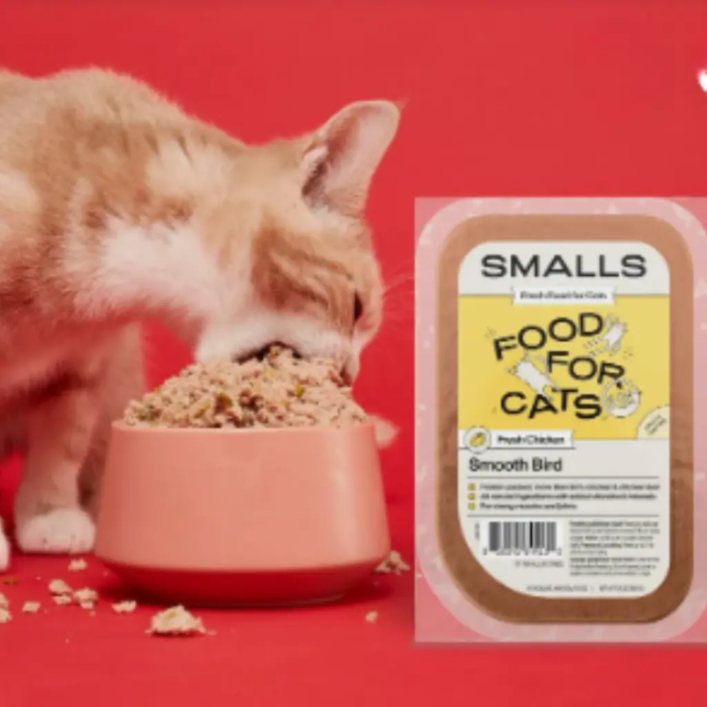 Evaluating the Benefits of Fresh Cat Food for Your Feline