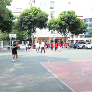IMG 9937
