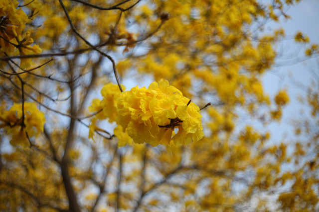 IMG-7241