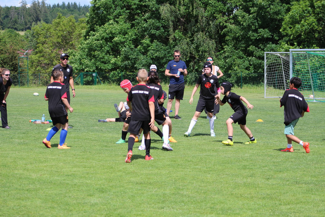 IMG 7610