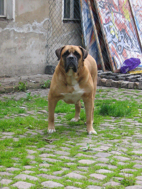 Olga1.jpg