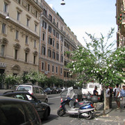 IMG-8787