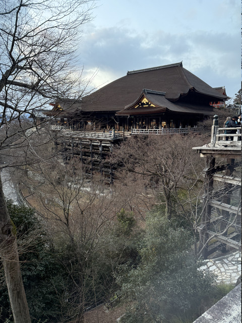 IMG-1845.jpg
