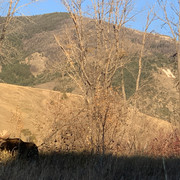 IMG-6248