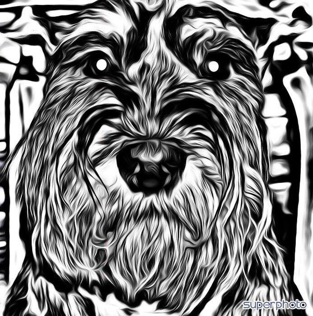 BIX-BLACK-AND-WHITE
