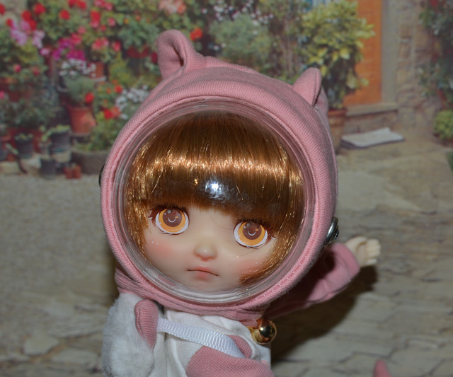 DSC-0120