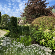 IMG-0656