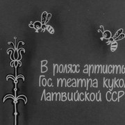 55