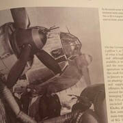 IMG-3050