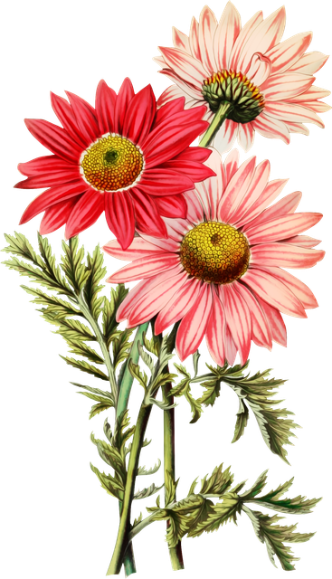 fc3156d078735977a653b010730b0cf9.png