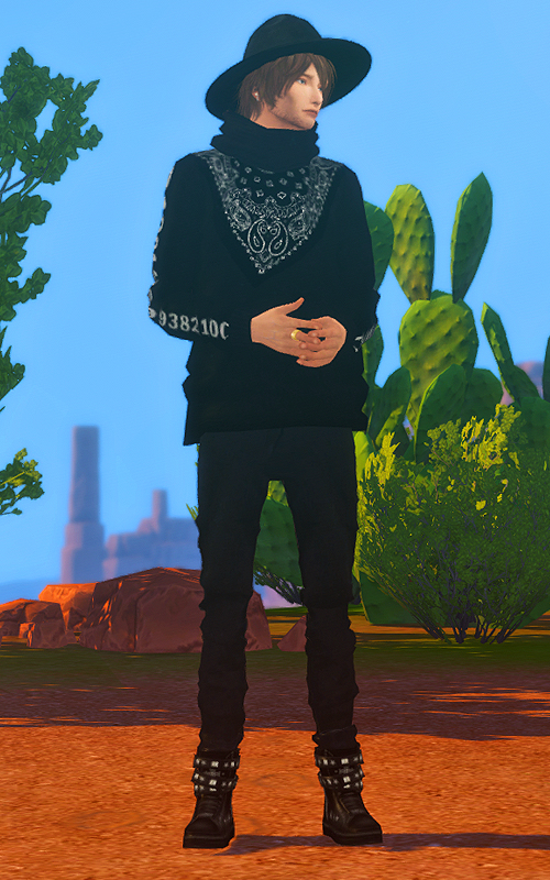 146.jpg