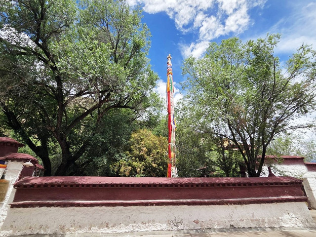 156.jpg
