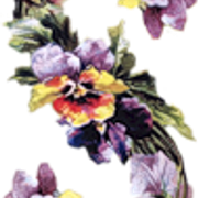 0-7a8c1-9dda7fa5-S