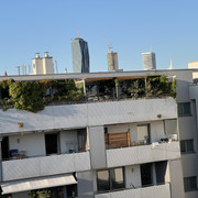IMG-3003