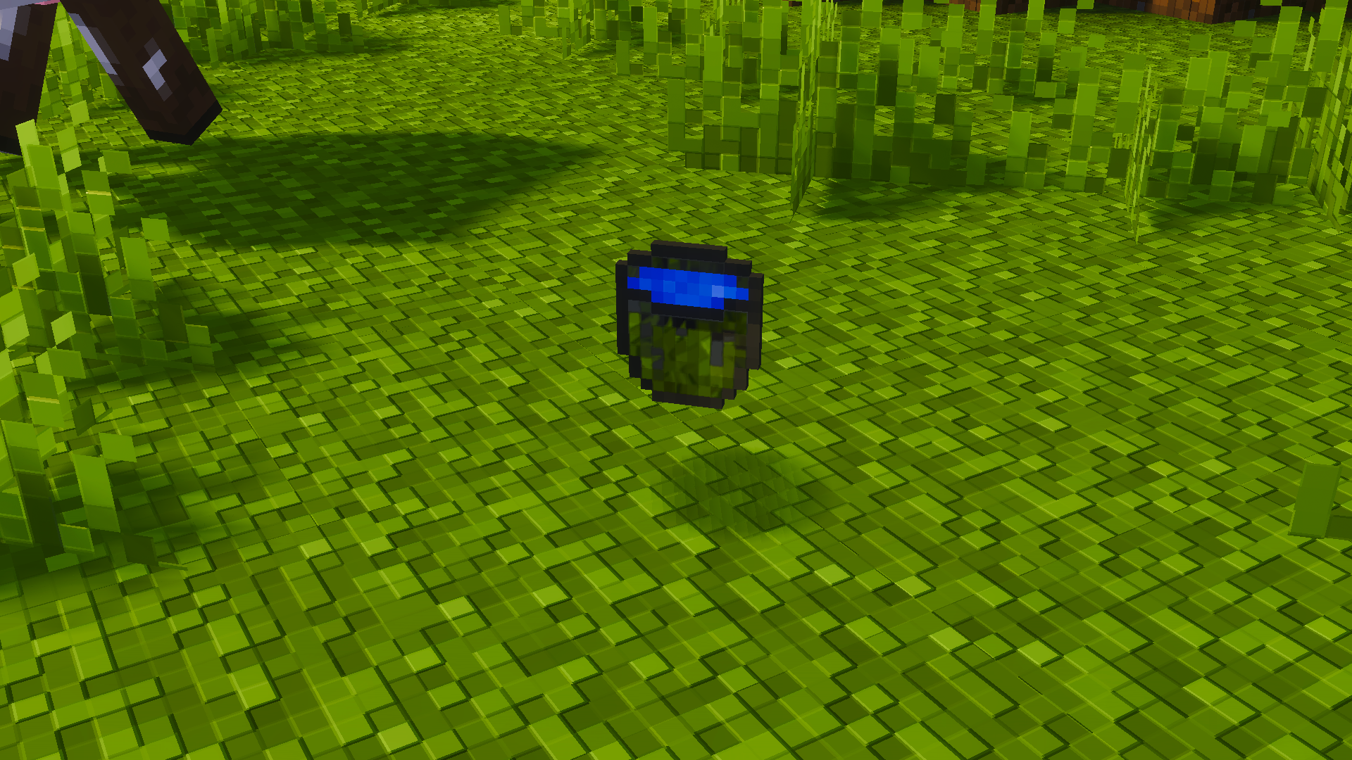water bucket on grass