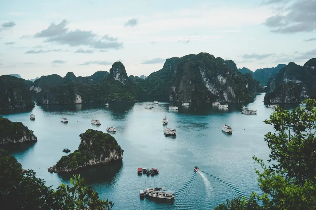 Vietnam's Ecotourism Boom: A Look at Sustainable Travel
