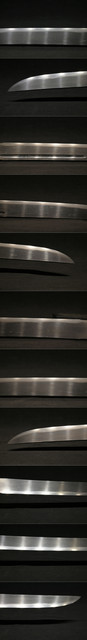 DSC0904.jpg