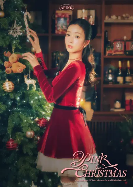 bo mi apink 30147.webp
