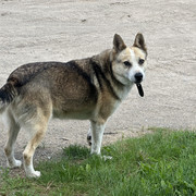 IMG 5345