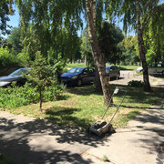 IMG-7240