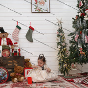 IMG 4458