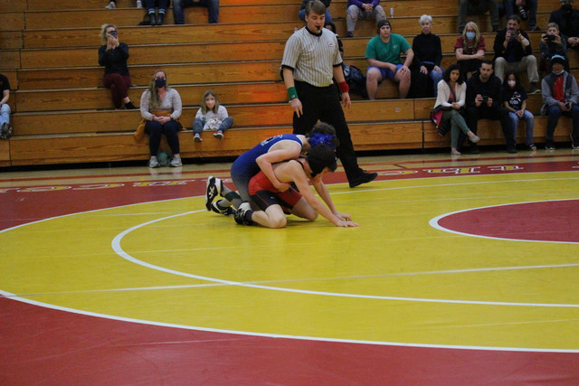 IMG-0194