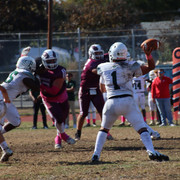 IMG-4336