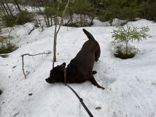 22-A4-FC78-CA08-4759-93-EA-A221-FC452-BF