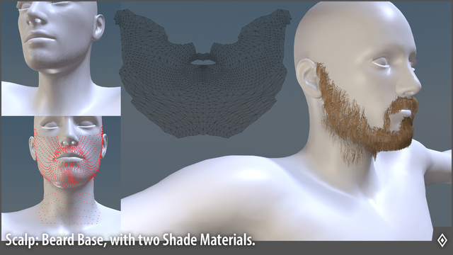 scalp-beard-preview