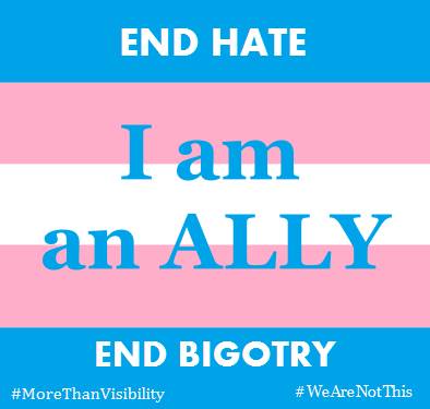 trans ally